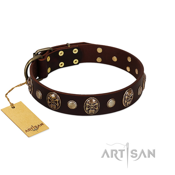 Unique full grain leather dog collar for everyday walking