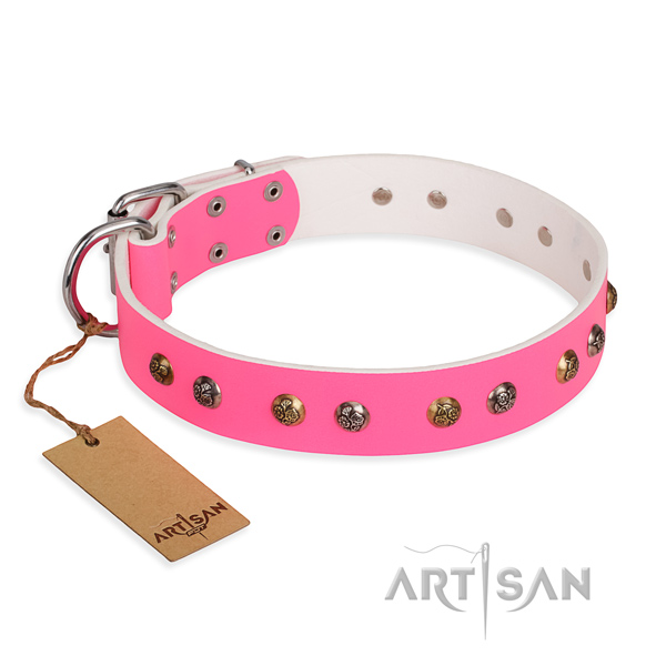 Everyday walking easy adjustable dog collar with rust-proof D-ring