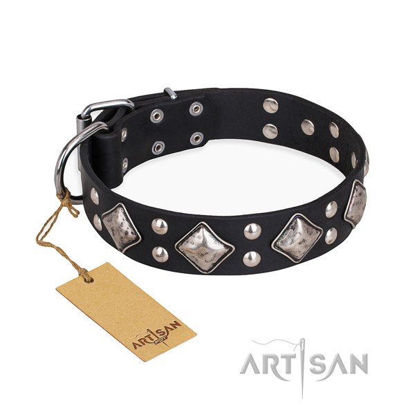 Everyday walking easy adjustable dog collar with rust-proof D-ring