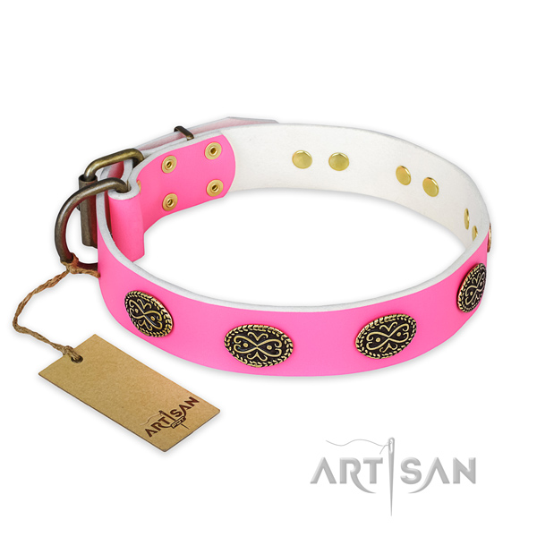 Impressive full grain genuine leather dog collar for everyday walking