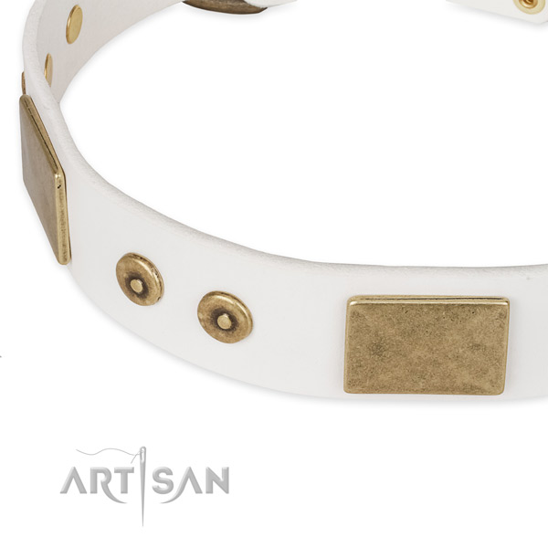 Rust-proof buckle on genuine leather dog collar for your canine