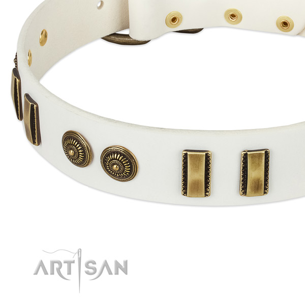 Strong studs on genuine leather dog collar for your four-legged friend