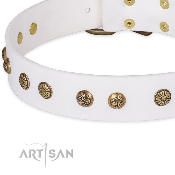 Natural genuine leather collar with durable buckle for your attractive doggie