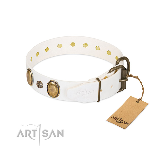 Daily walking soft to touch full grain leather dog collar