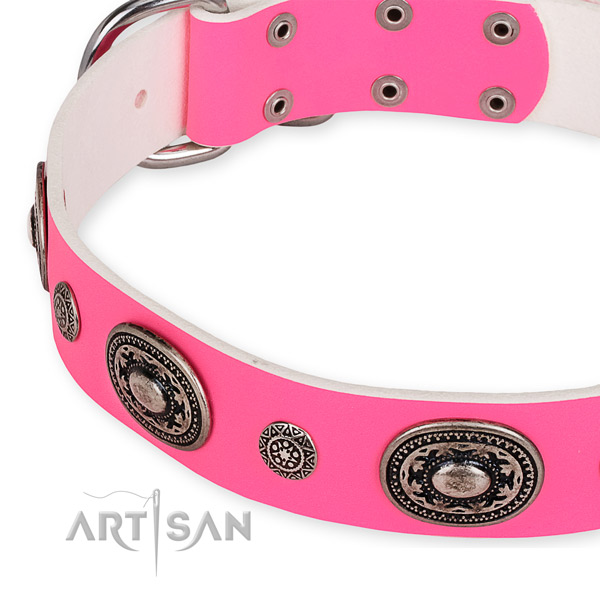 Reliable genuine leather dog collar crafted for your impressive dog