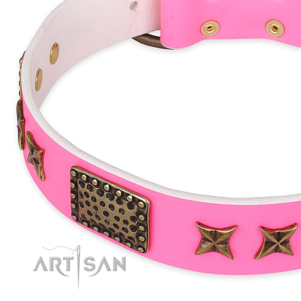 Leather collar with rust-proof buckle for your attractive pet