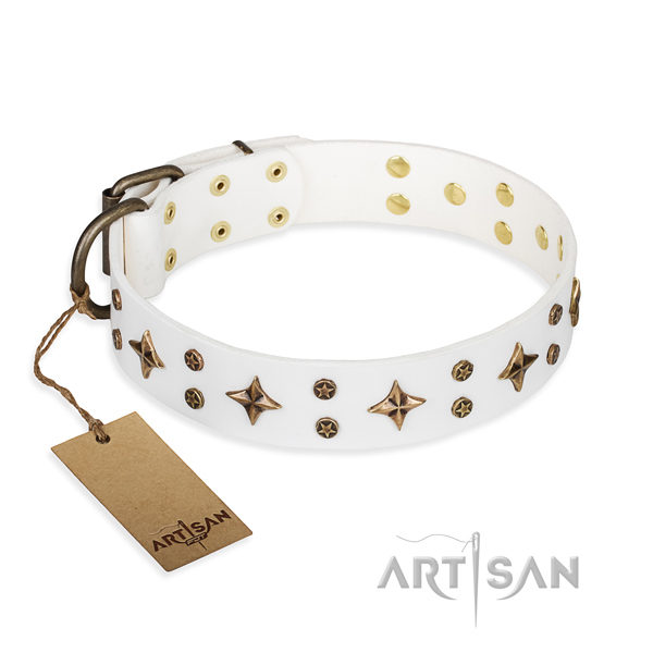 Comfy wearing dog collar of durable full grain genuine leather with adornments