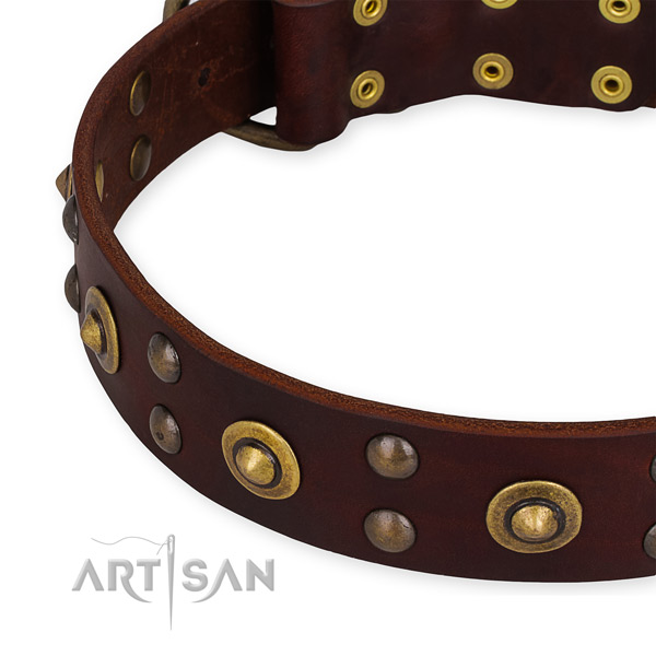 Genuine leather collar with rust-proof D-ring for your handsome canine