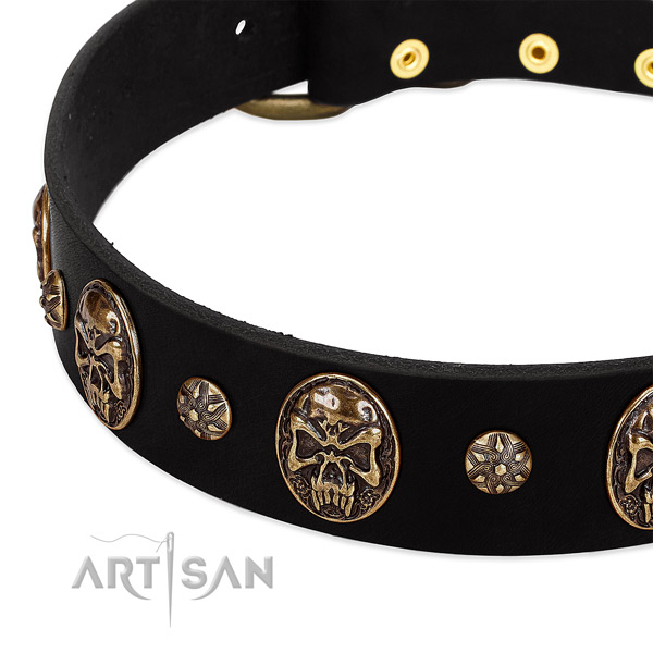 Rust resistant decorations on genuine leather dog collar for your four-legged friend