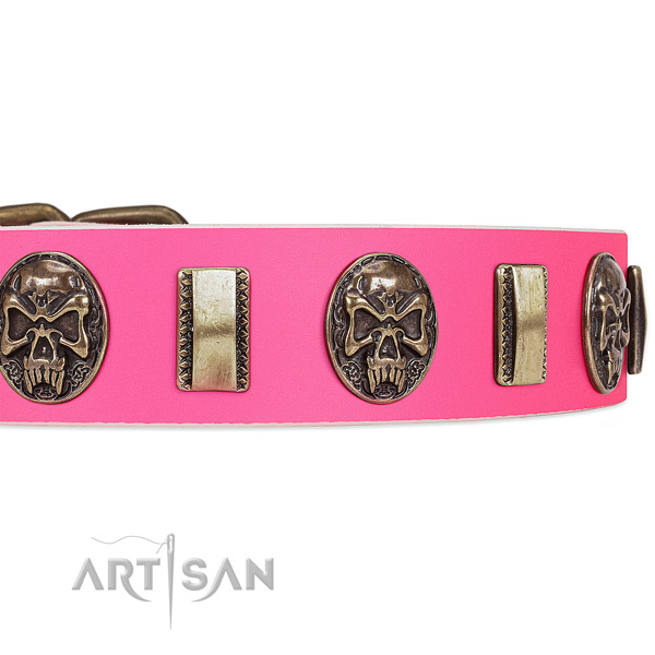 Corrosion proof studs on full grain natural leather dog collar for your doggie
