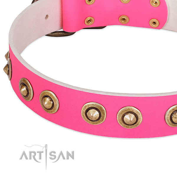 Rust resistant decorations on full grain genuine leather dog collar for your dog