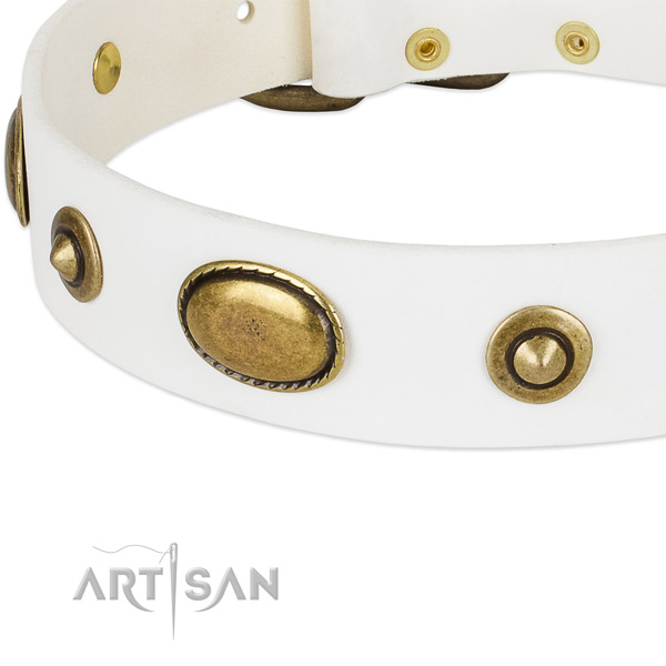 Rust resistant traditional buckle on natural leather dog collar for your doggie