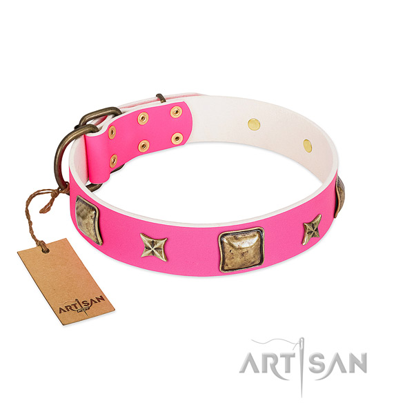 Natural leather dog collar of flexible material with awesome decorations