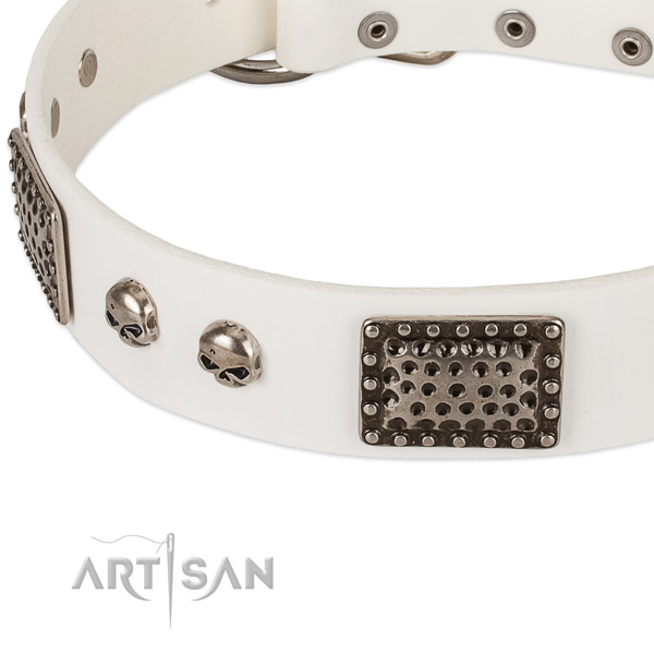 Rust-proof studs on natural genuine leather dog collar for your pet