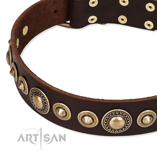 Quality genuine leather dog collar handmade for your handsome canine