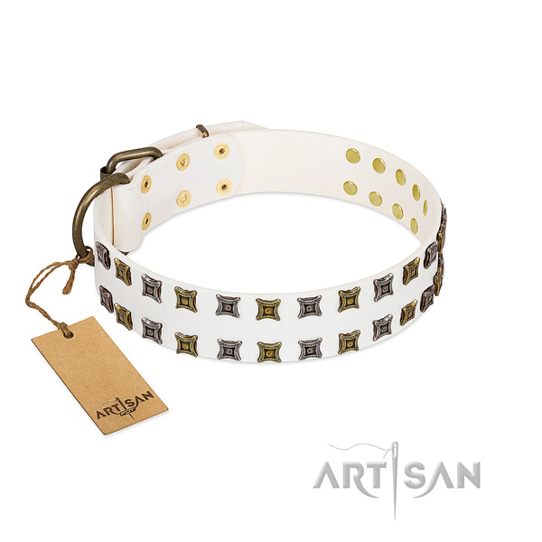 Full grain natural leather collar with exquisite decorations for your doggie