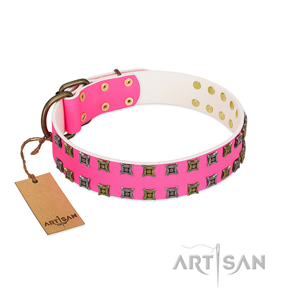Full grain leather collar with significant embellishments for your canine