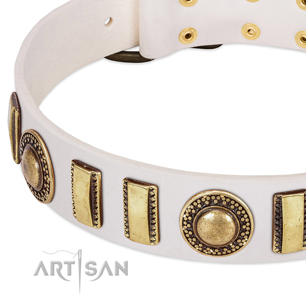 Reliable natural leather dog collar for your beautiful doggie