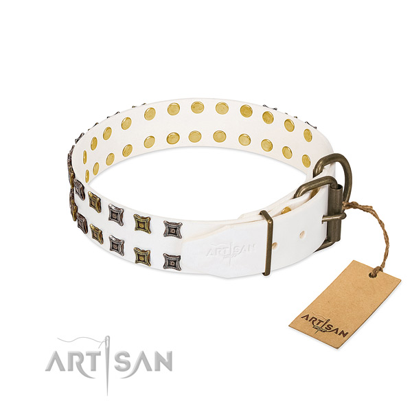 Full grain natural leather collar with incredible adornments for your dog