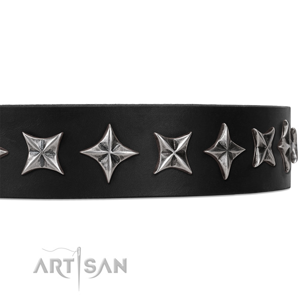 Daily use adorned dog collar of reliable full grain leather