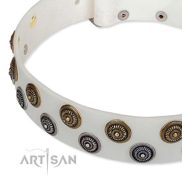 Basic training decorated dog collar of top quality full grain leather