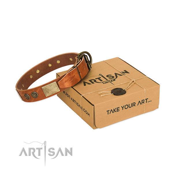 Durable fittings on genuine leather dog collar for walking