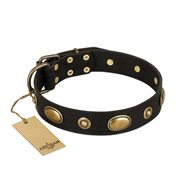 "Eye-Catcher" FDT Artisan Black Leather Mastiff Collar for Walking in Style
