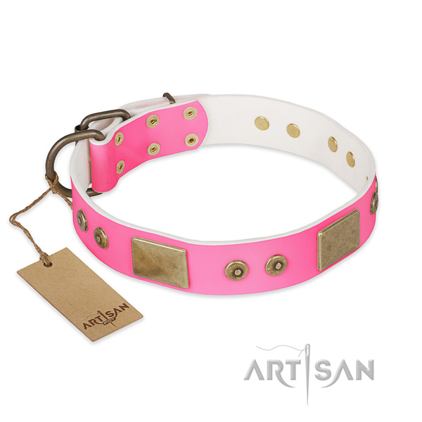 Easy to adjust natural genuine leather dog collar for basic training your four-legged friend