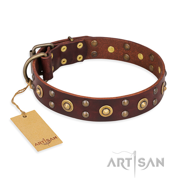 Stunning genuine leather dog collar with rust-proof hardware