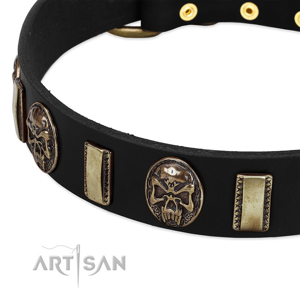Reliable buckle on genuine leather dog collar for your dog