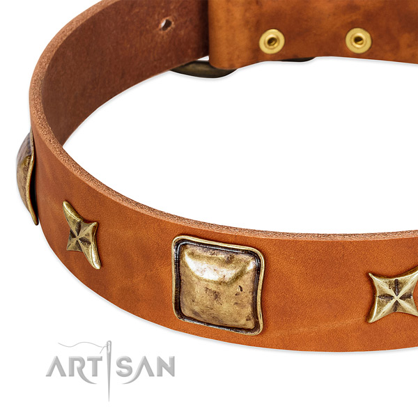 Corrosion proof traditional buckle on genuine leather dog collar for your pet