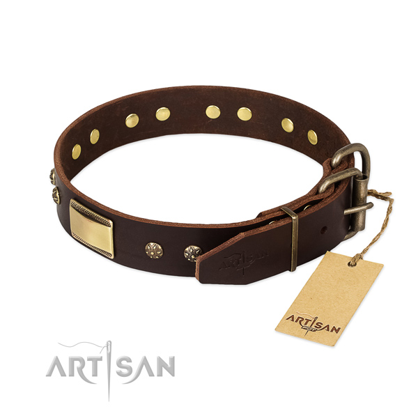 Fashionable genuine leather collar for your dog