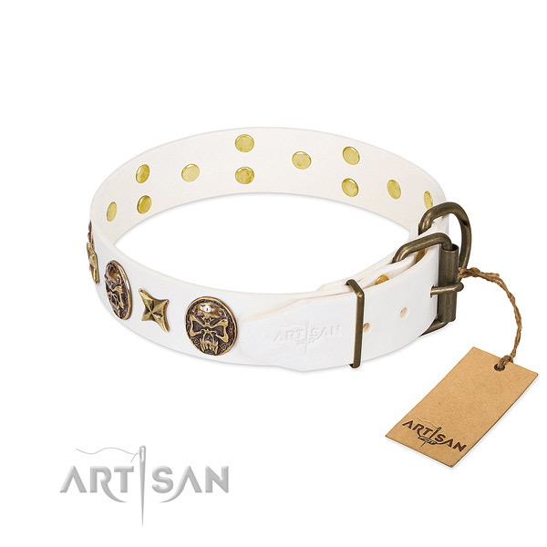 Strong buckle on full grain natural leather collar for daily walking your pet