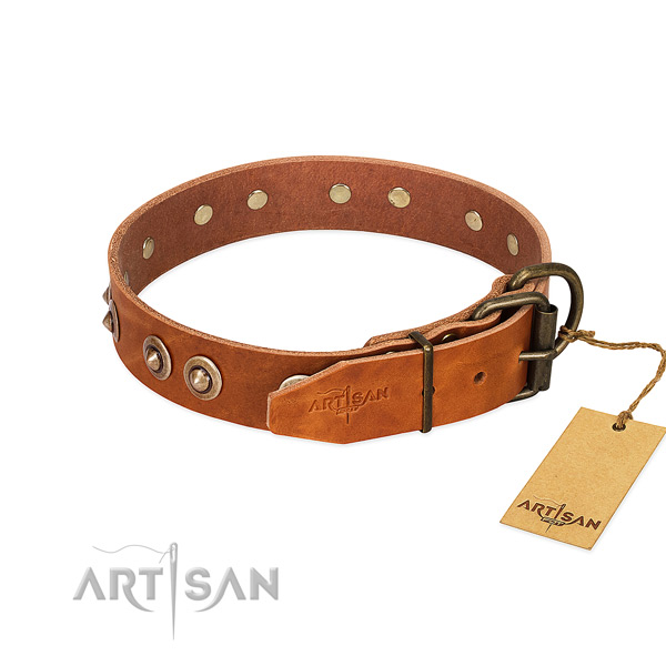 Rust resistant buckle on leather dog collar for your canine