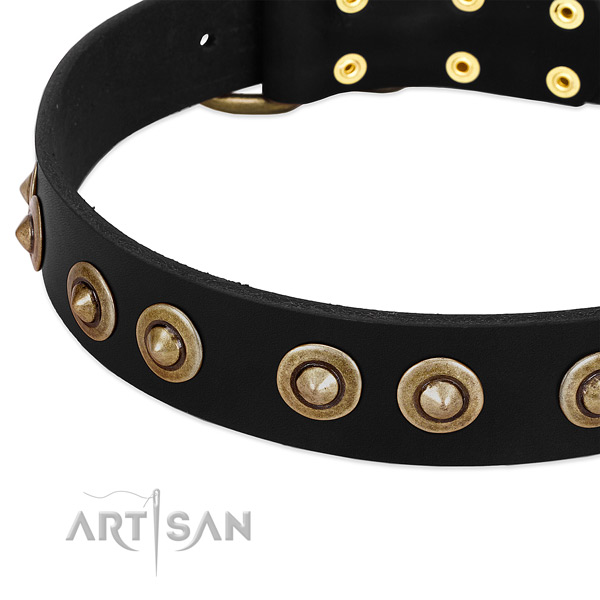 Corrosion proof fittings on full grain natural leather dog collar for your doggie