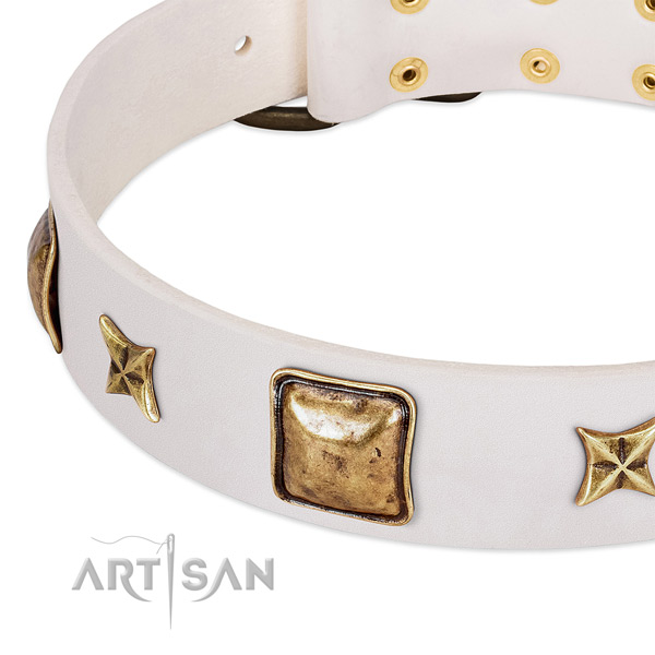 Corrosion proof embellishments on full grain genuine leather dog collar for your pet