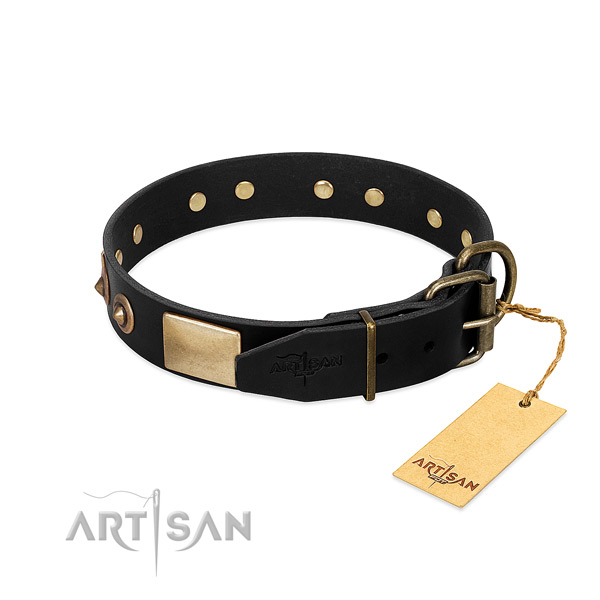 Corrosion proof traditional buckle on comfortable wearing dog collar