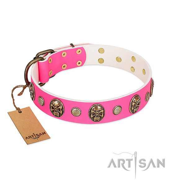 Corrosion proof hardware on genuine leather dog collar for your doggie