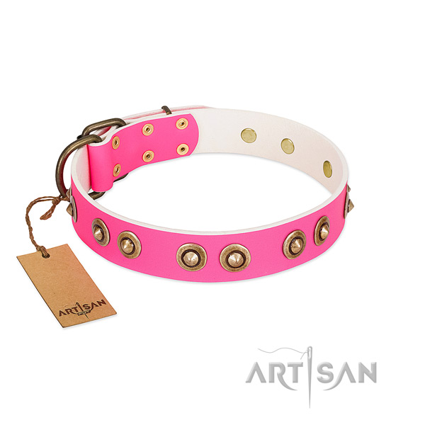Impressive full grain natural leather dog collar for comfortable wearing