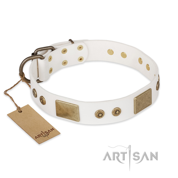 Handmade full grain leather dog collar for daily use