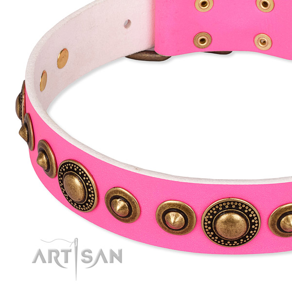Reliable full grain leather dog collar handmade for your attractive canine