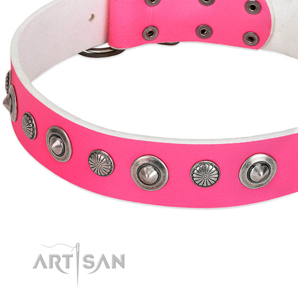 Full grain leather collar with corrosion proof hardware for your attractive dog