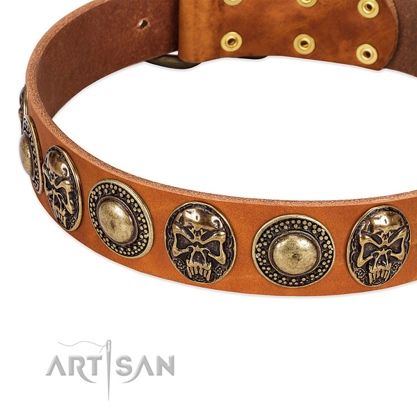 Durable traditional buckle on full grain natural leather dog collar for your pet
