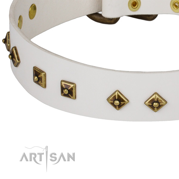 Designer full grain natural leather collar for your impressive doggie