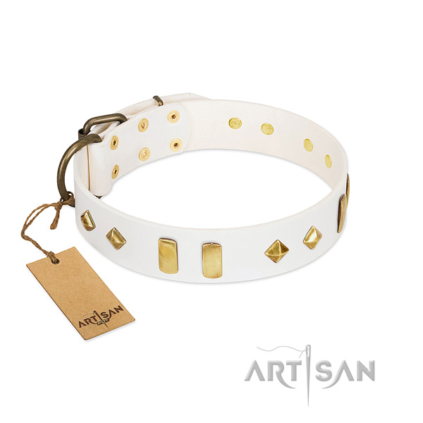 High quality full grain leather dog collar with durable traditional buckle