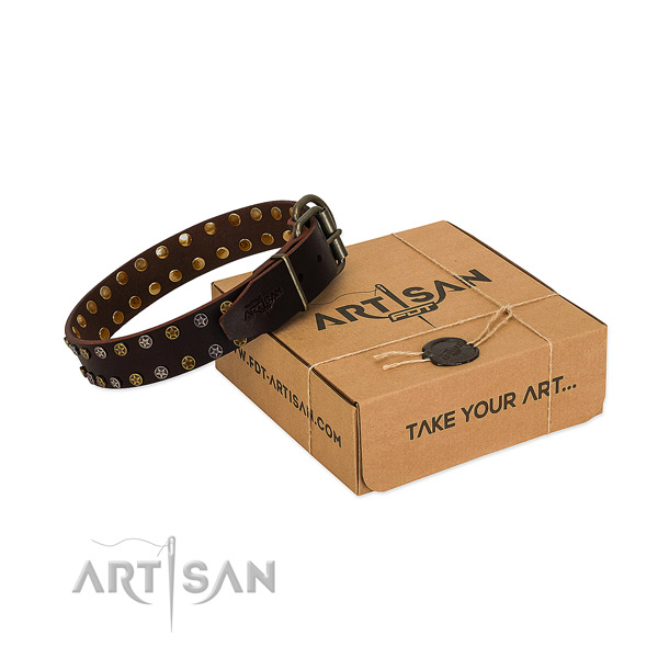 Everyday use high quality full grain leather dog collar with embellishments