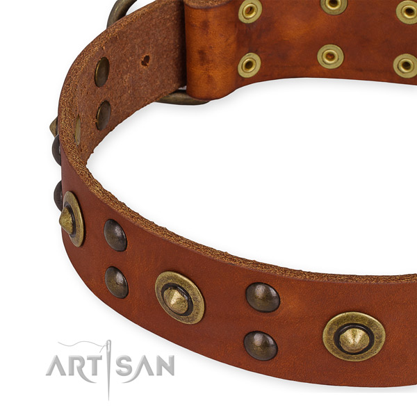 Full grain natural leather collar with reliable traditional buckle for your beautiful pet