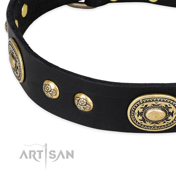 Handcrafted genuine leather collar for your beautiful dog