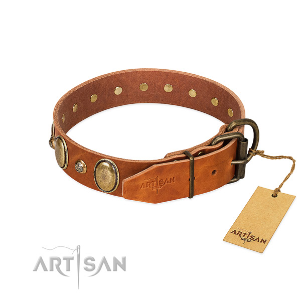 Comfortable wearing full grain leather dog collar