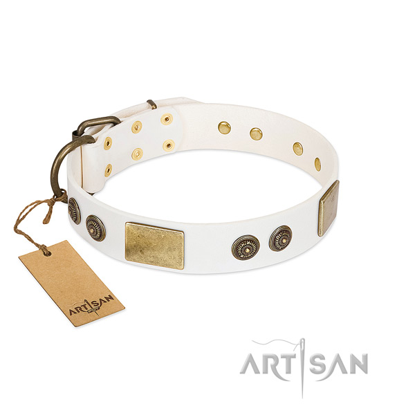 Studded leather dog collar for daily walking